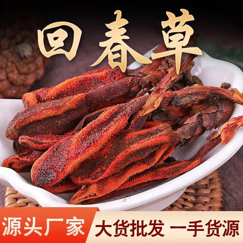 回春草中药材批发零售不老草野生
