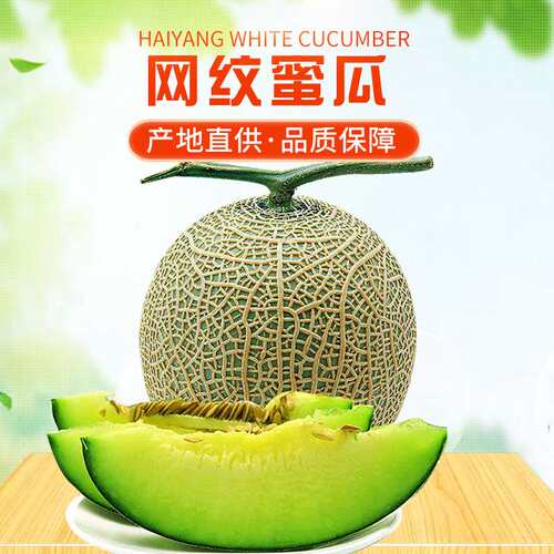 海阳网纹瓜蜜瓜哈密瓜录后台蜜瓜新鲜水果香瓜甜瓜网纹即食