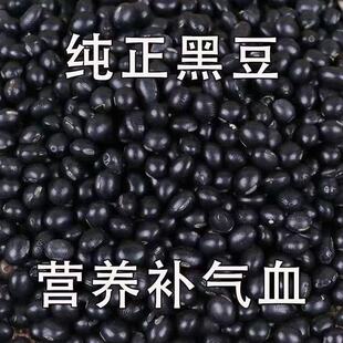 苦茽芯新货正宗农家优质东北绿心黄心黑豆肾形五谷杂粮打豆浆专用