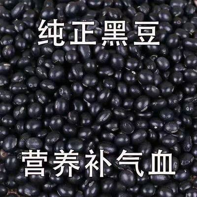 黄心肾形黑豆官方旗舰店正品