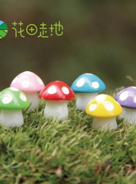 diy苔藓微景观小蘑菇花盆生态瓶