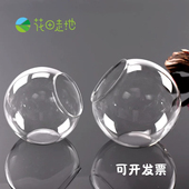 苔藓瓶 微景观DIY生态玻璃瓶 透明斜口玻璃球形花瓶 玻璃多肉花盆