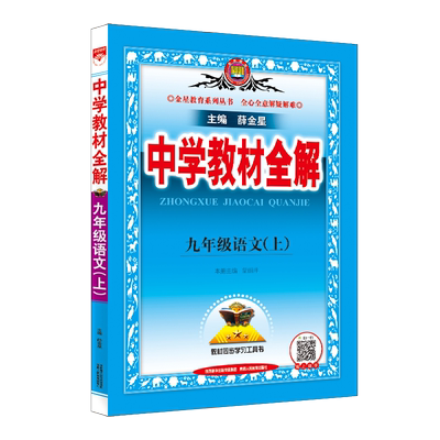 中学教材全解九年级人教版