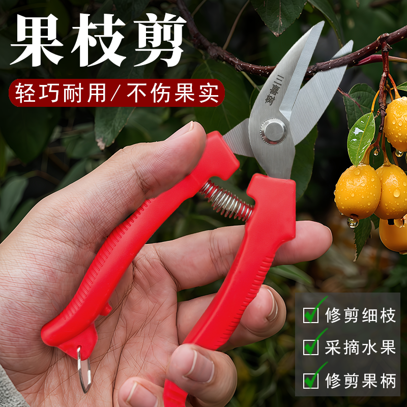 三喜树修剪树枝剪刀摘果剪