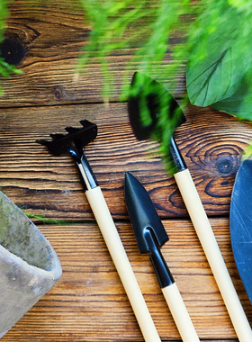 苔藓微景观diy摆件细河石蓝砂野生苔藓营养土种植工具水陆缸造景