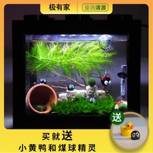 海藻球生态鱼缸微景观球藻创意迷你居家摆件室内盆栽水培植物礼物