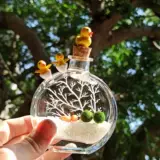 Маримо -парфюмерная бутылка бутылка из морских водорослей мяч микроалкологический экологический экологический стеклянный стеклянный бутылка гидропонная растение на рабочем столе творческий подарок