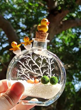 MARIMO香水瓶海藻球微景观生态瓶玻璃瓶水培植物桌面盆栽创意礼物