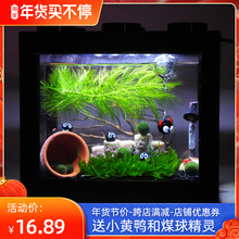海藻球微景观生态缸室内桌面趣味鱼缸迷你水培植物球藻创意礼物
