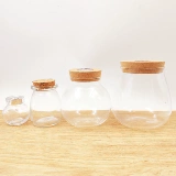 Маримо -морской водоросль шар Микро -земля деревянная штекер