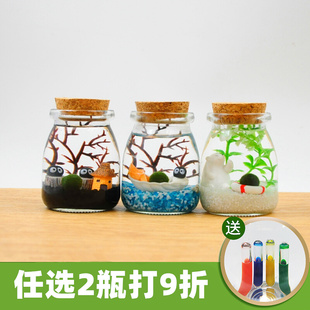 海藻球微景观生态瓶水培球藻创意迷你植物桌面玻璃瓶盆栽礼物 包邮🍬