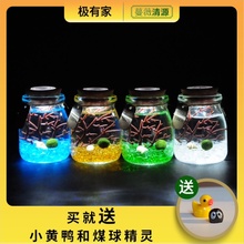 包邮 海藻球玻璃生态瓶微景观带灯迷你鱼缸创意植物小盆栽生日礼物