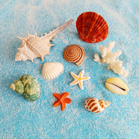 魚(yú)兒配件裝飾公仔珊瑚小船海藻球
