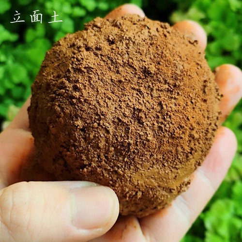 立面土苔藓微景观水路缸生态瓶墙面专用土营养苔藓土植物造景材料