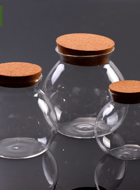 marimo海藻球微景观木塞玻璃瓶生态瓶水培植物创意花瓶球藻密封罐