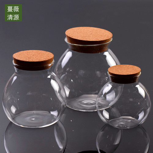 鱼缸微景观容器布丁瓶海藻球