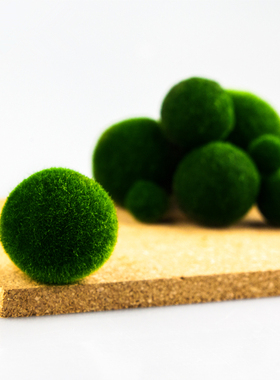 马里莫海藻球微景观生态瓶鱼缸室内桌面水培创意迷你植物水生球藻