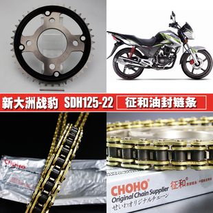 新大洲战豹SDH150 提速大小齿轮链轮套链 22征和油封链条链盘套装