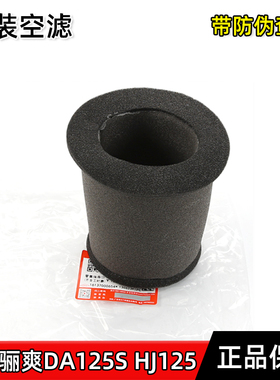 适用豪爵原装摩托车超级骊爽DA125S HJ125-19-20空气滤清器空滤