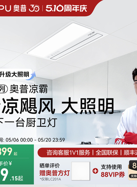 奥普凉霸厨房LC101A嵌入式专用带灯二合一风扇冷风机官方正品201A