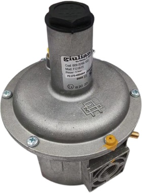 意大利朱丽安尼Giuliani减压阀FG1B15 FG1B20  FG1B40现货 200个