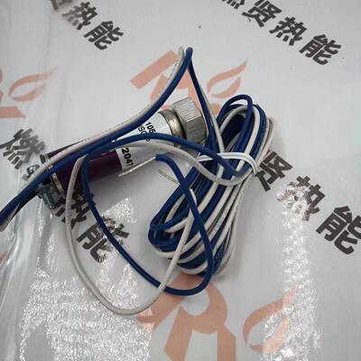 火焰探测器UV探头C7027A1056
