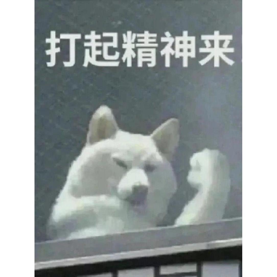 测试数据不要拍六角螺丝大好机会