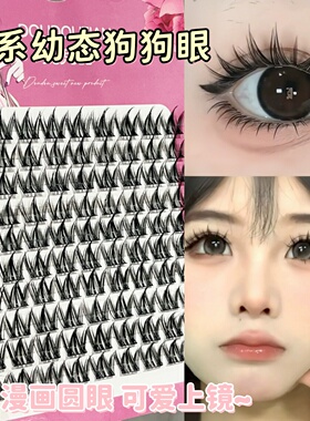 无辜幼态狗狗眼！犬系假睫毛懒人三部曲自然仿真单簇浓密大眼