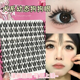 无辜幼态狗狗眼!犬系假睫毛懒人三部曲自然仿真单簇浓密大眼