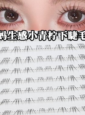新款原生嫁接感小青柠下睫毛妈生浓密毛流感自然仿真单簇分段