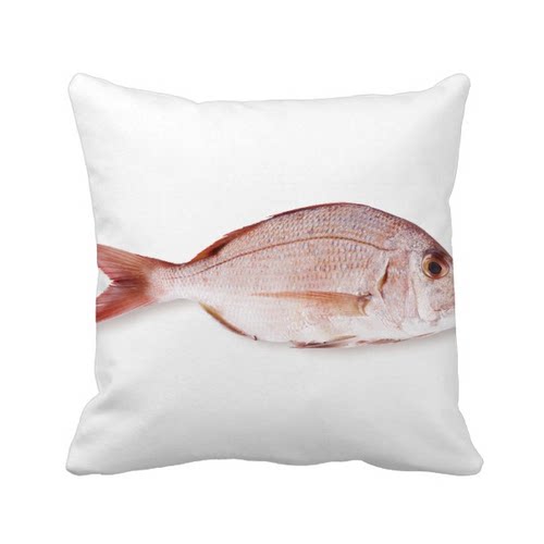 粉色沙发靠垫礼物抱枕