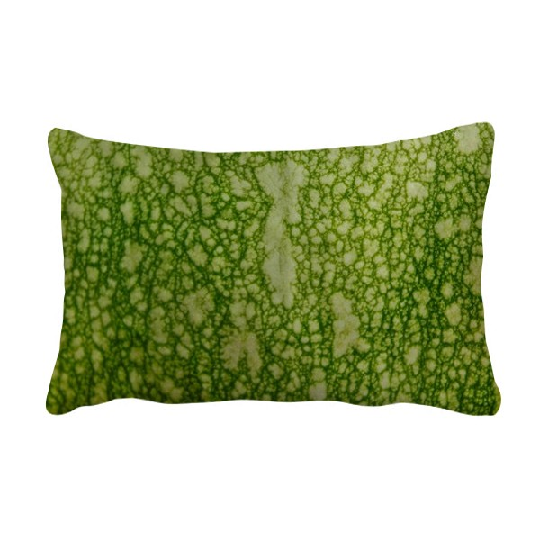 绿色南瓜表面皮照片花纹微距抱枕靠枕腰枕沙发靠垫双面含芯礼物