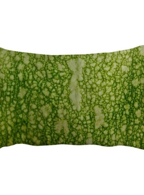 绿色南瓜表面皮照片花纹微距抱枕靠枕腰枕沙发靠垫双面含芯礼物