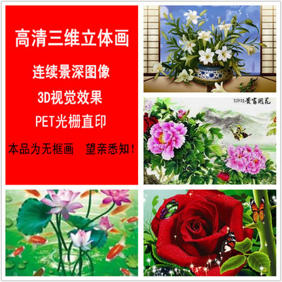 pet是客厅pet光栅三维立体画花卉