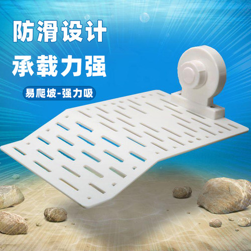 浮岛深水混养生态缸台子乌龟