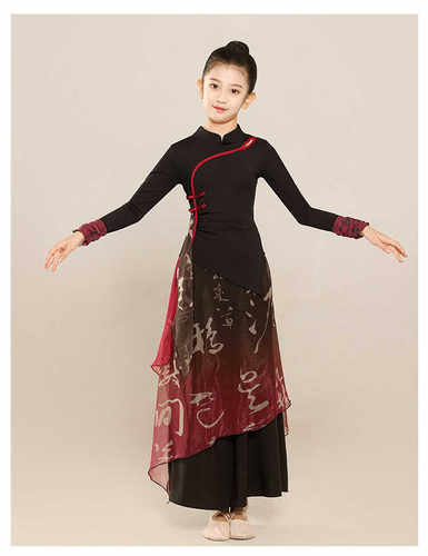 表演古典舞中国风扇子飘逸练功服