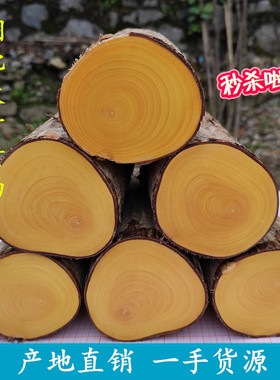 正宗湖北高山大叶黄杨木弹弓料雕刻木料家具料笔筒木旋工艺品
