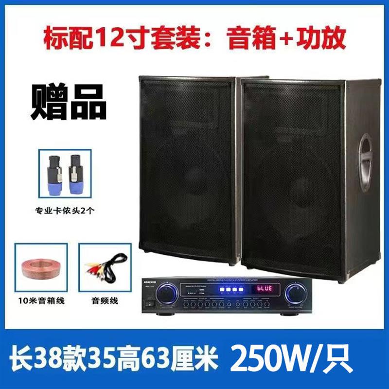 大功率演出音箱家用演出会议户外KTV/卡拉OK音箱