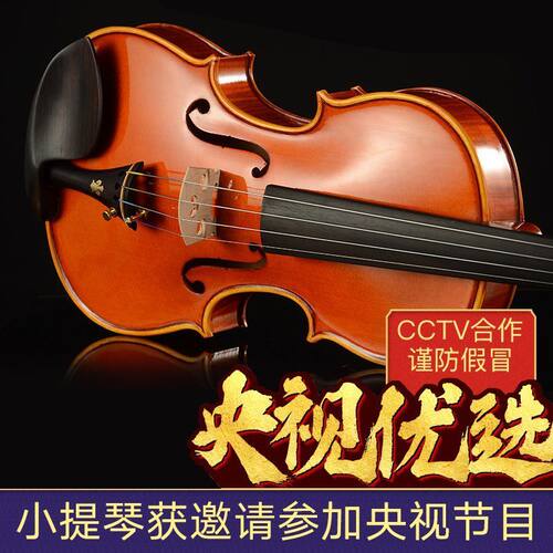 进口实木小提琴儿童成人初学者学生练习演奏全手工专业级提琴