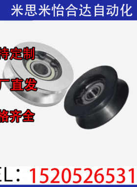 V导向轮QBR01 02 03 06-D20D30D40-A4-A5-A7-d3-d5-d6-d8现货供应