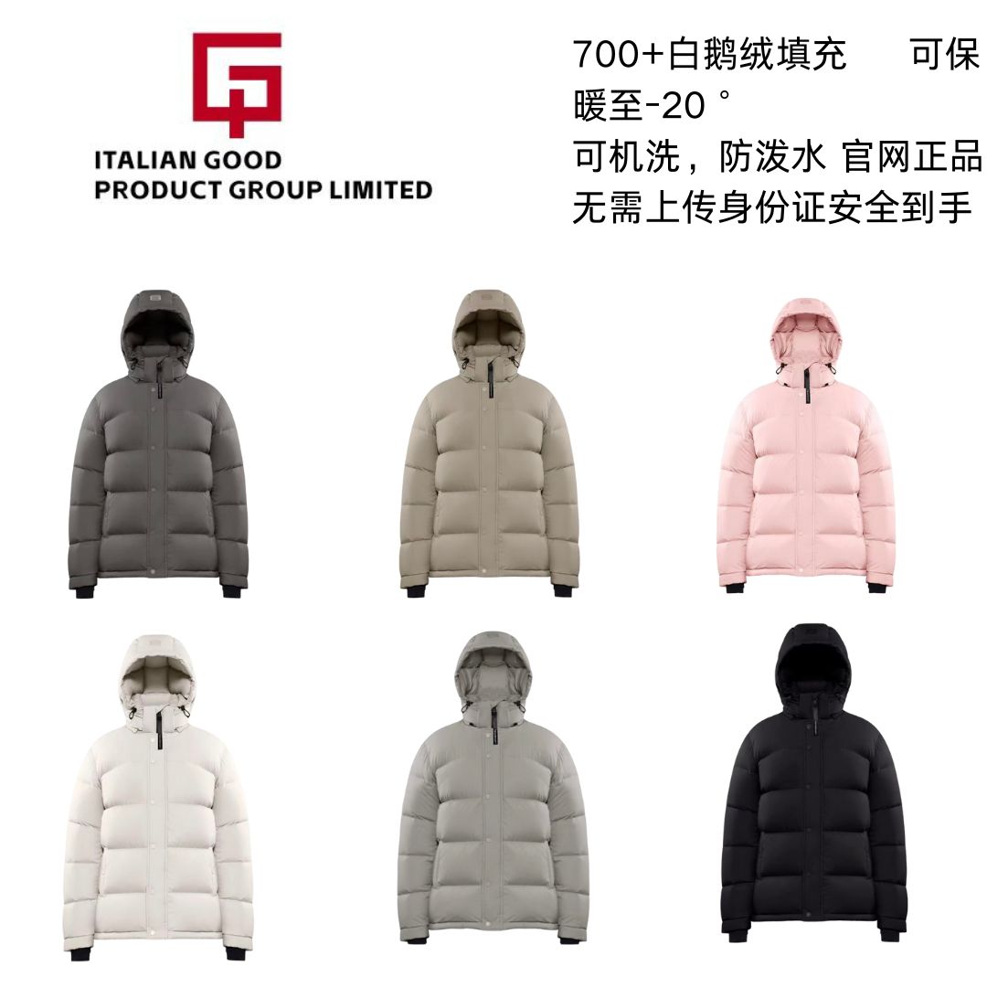 Aritzia白鹅绒雾面哑光5格羽绒服