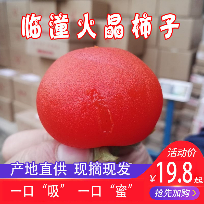 正宗临潼火晶柿子流心软柿整箱