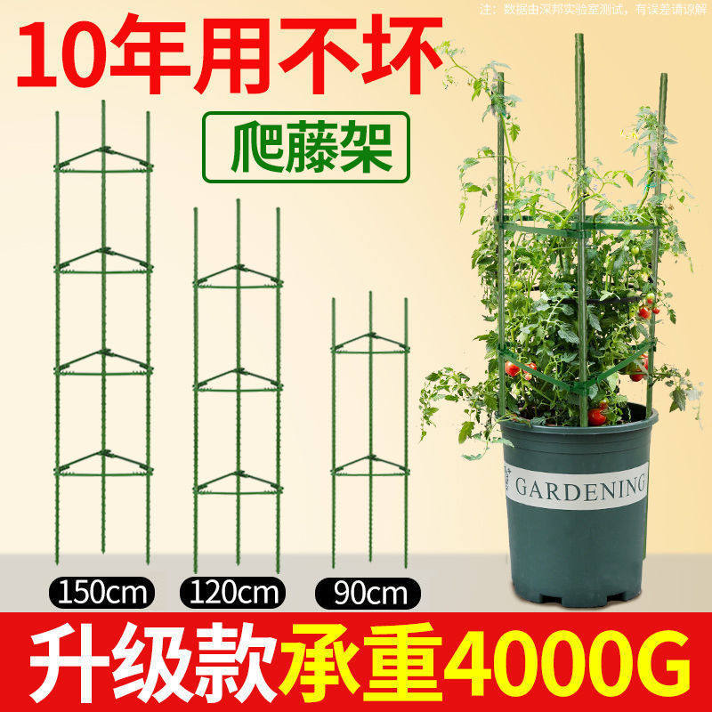 西红柿番茄支架黄瓜爬藤植物花架茄子豆角种菜架园艺蔬菜攀爬架子