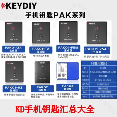 PAK01FEMDBCCAS4手机钥匙