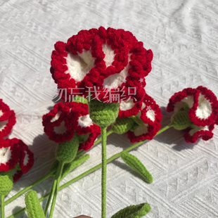 康乃馨创意手工花束成品钩织钩针手钩花毛线编织花礼物送闺蜜母亲