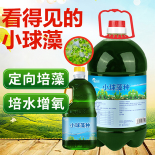 小球藻种水产养殖虾蟹鱼塘肥水复合培藻有益硅藻藻类增氧培养基