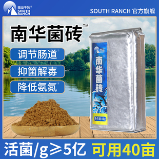 南华菌砖水产养殖鱼虾蟹调节肠道PH降低氨氮弧菌发酵em菌种益生菌