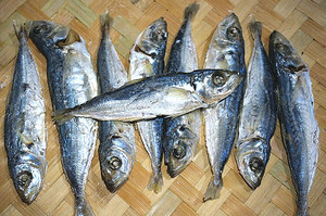 鳀鱼干熟鳀干巴浪鱼干天然野生邱老六连江特产干货450克