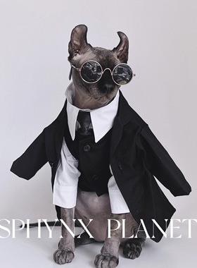 无毛猫衣服斯芬克斯猫德文秋冬英伦风礼服结婚西装衬衫套装宠物