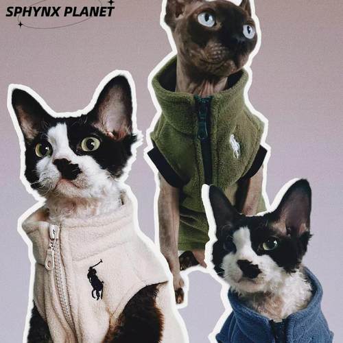 无毛猫星球德文猫衣服保暖马甲